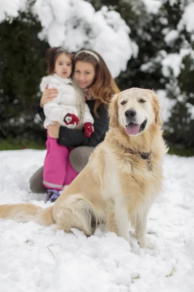 Семья с собакой зимой — стоковое фото