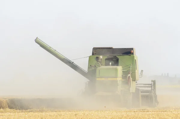 Harvesting tractor on eheat field — Stok fotoğraf