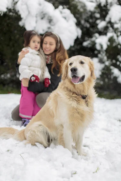 Family with a dog at snow Royalty Free Stock Images