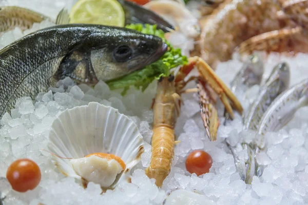 Frutti di mare — Foto Stock