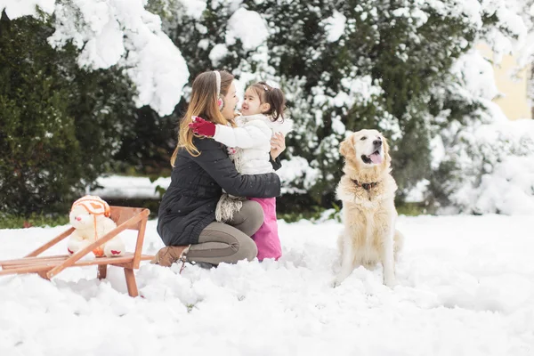 Inverno — Foto Stock