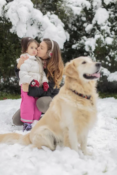 冬の犬連れのご家族 — ストック写真