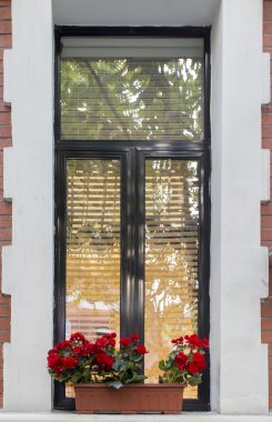 saksıyı penceresiyle