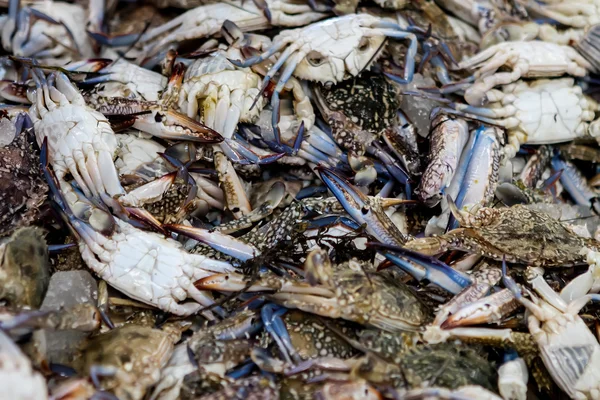 ตลาดปลา — ภาพถ่ายสต็อก