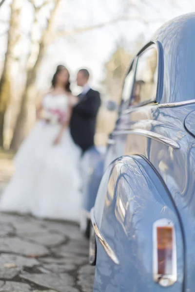 Pareja de boda —  Fotos de Stock