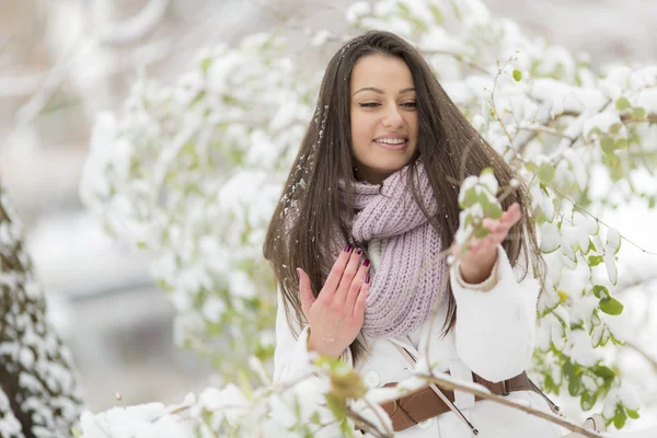 Jonge vrouw op winter — Stockfoto