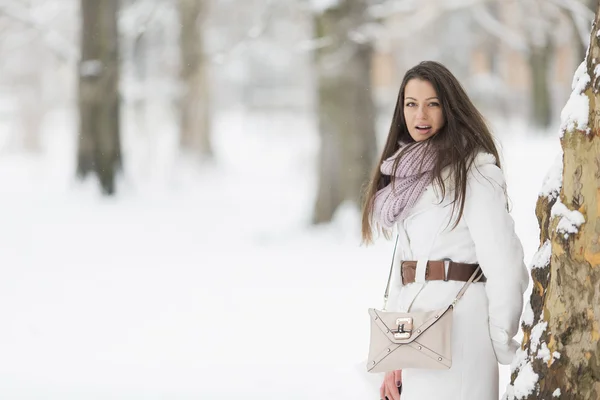 Fiatal nő a téli — Stock Fotó