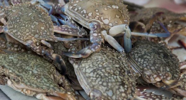 Kepiting di pasar — Stok Foto