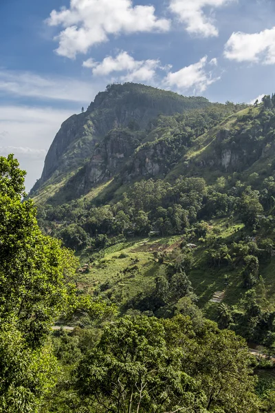 Nuwara, Sri Lanka — Foto Stock