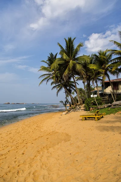 Negombo — Stockfoto