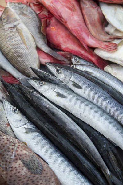 Färsk fisk och skaldjur — Stockfoto