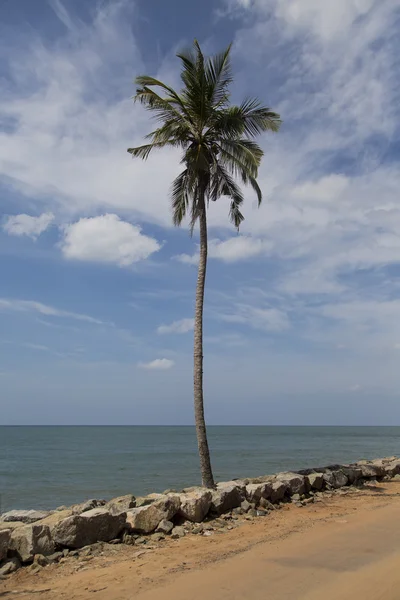 Negombo, ศรีลังกา — ภาพถ่ายสต็อก