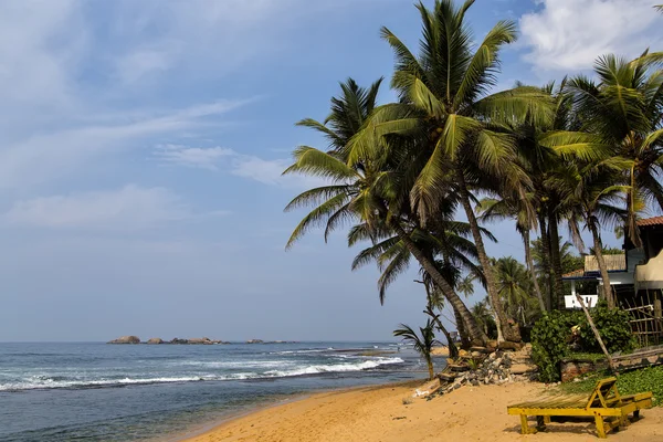 Negombo, Srí lanka — Stock fotografie