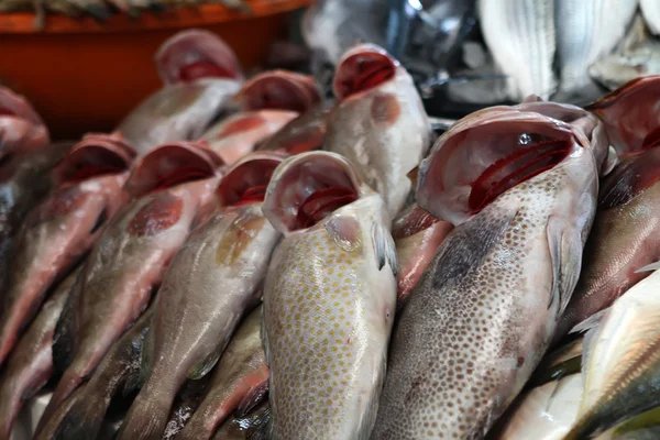Verse vis op de markt — Stockfoto
