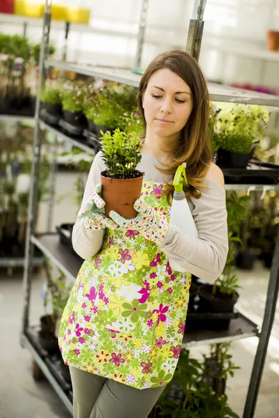 Young woman in flower garden — Stock Photo, Image