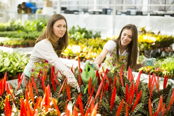 Mujeres jóvenes en jardín de flores — Foto de Stock
