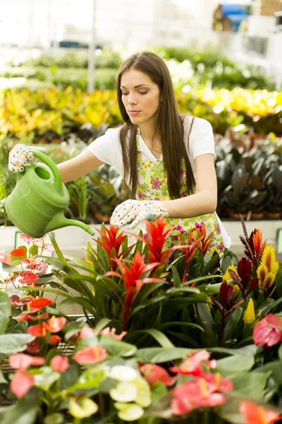 Mujer joven en jardín de flores —  Fotos de Stock