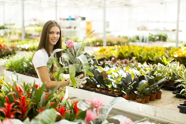 Mujer joven en jardín de flores — Foto de Stock