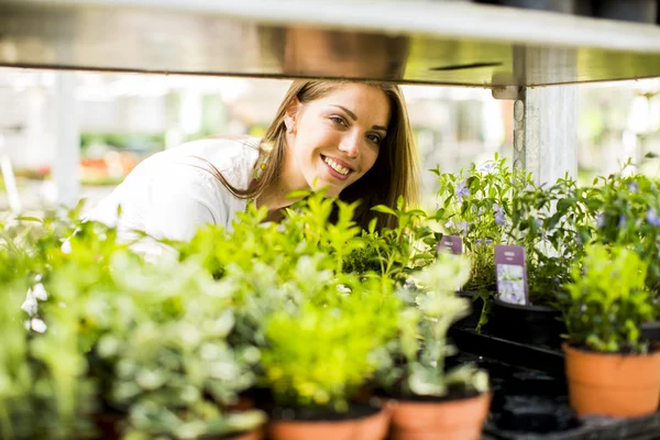 Mujer joven en jardín de flores — Foto de Stock