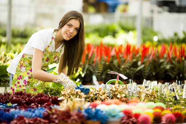 Mujer joven en jardín de flores —  Fotos de Stock