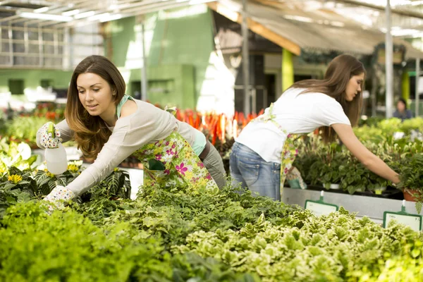 Mujeres jóvenes en jardín de flores — Foto de Stock