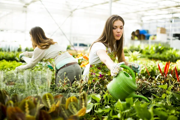 Jonge vrouwen in bloementuin — Stockfoto