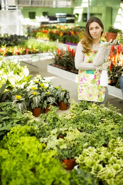 フラワーガーデンの若い女性は — ストック写真