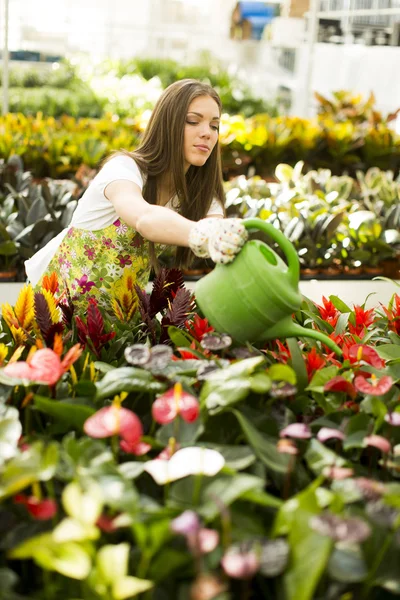 Young woman in flower garden — Stock Photo, Image