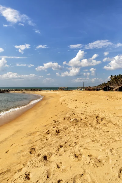 Pláže Negombo na Srí Lance — Stock fotografie