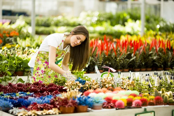 Mujer joven en jardín de flores —  Fotos de Stock