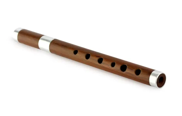 A flauta — Fotografia de Stock