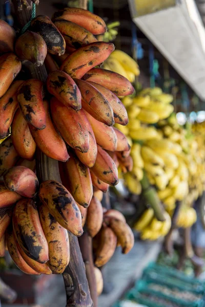 Plátanos en el mercado —  Fotos de Stock