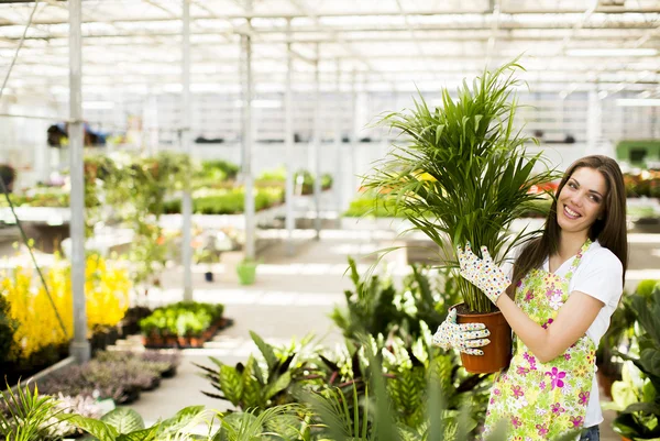 Mujer joven en jardín de flores — Foto de Stock