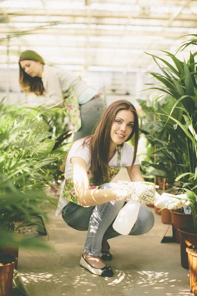 A fiatal nők a virágoskert — Stock Fotó