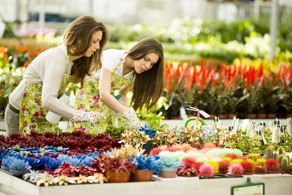 Mujeres jóvenes en jardín de flores —  Fotos de Stock