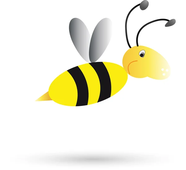 Pszczoły miodnej — Wektor stockowy