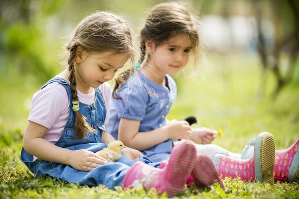 Two little girls with chickens — Stock Photo, Image