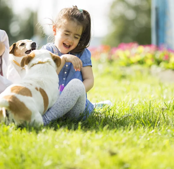 Little girl playing with dogs — Stock Photo, Image
