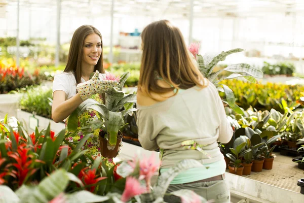 Jonge vrouwen in de bloementuin — Stockfoto