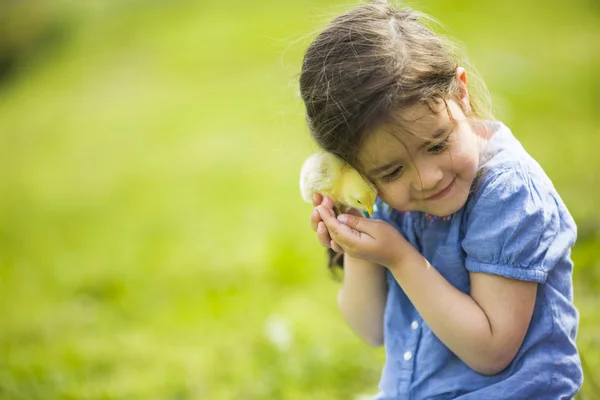 Menina bonito com o frango — Fotografia de Stock