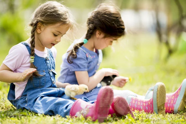 Twee kleine meisjes met kippen — Stockfoto