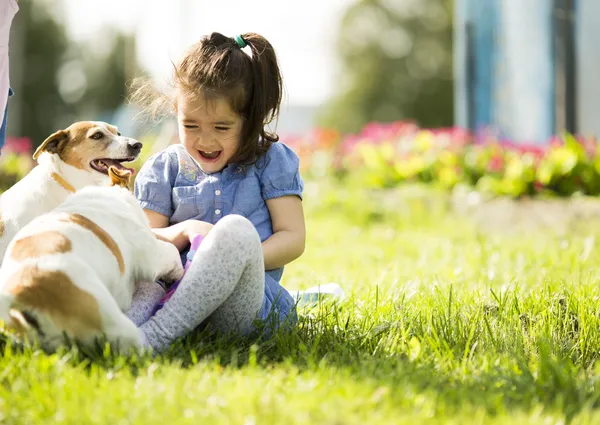 小さな女の子が犬と遊んで — ストック写真