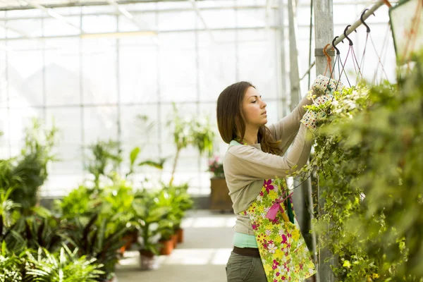 Mujer joven en jardín de flores — Foto de Stock