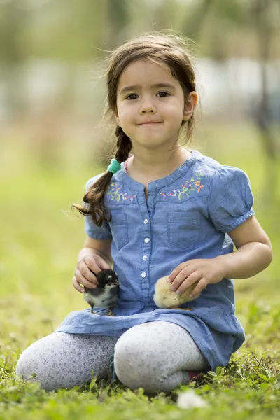 Cute little girl with the chickens — Stock Photo, Image