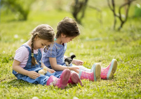 Two little girls with chickens — Stock Photo, Image