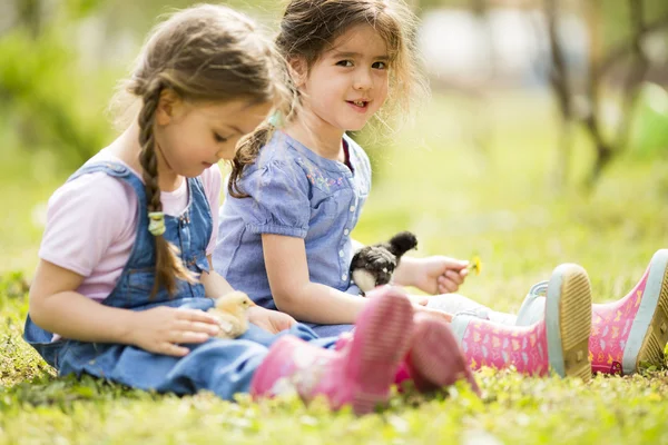 Twee kleine meisjes met kippen — Stockfoto