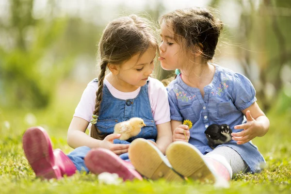 Två små flickor med kycklingar — Stockfoto