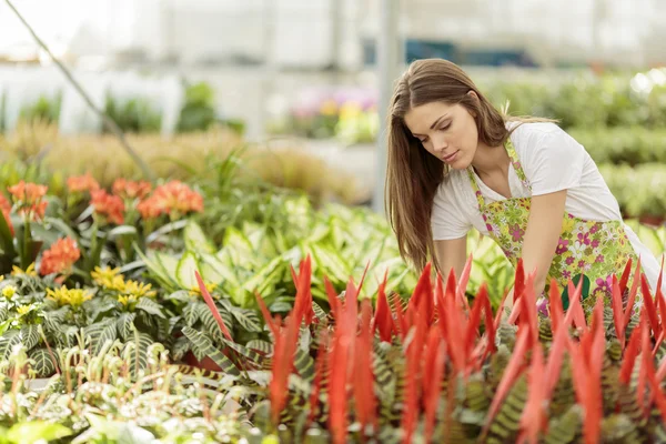 花の庭で若い女性 — ストック写真