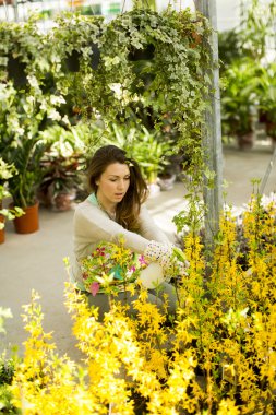 genç kadın çiçek bahçesi
