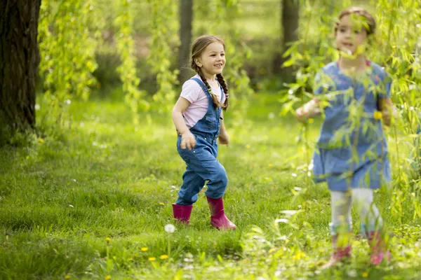 Kis lányok playuing az erdő — Stock Fotó